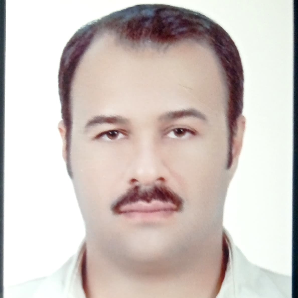 سید