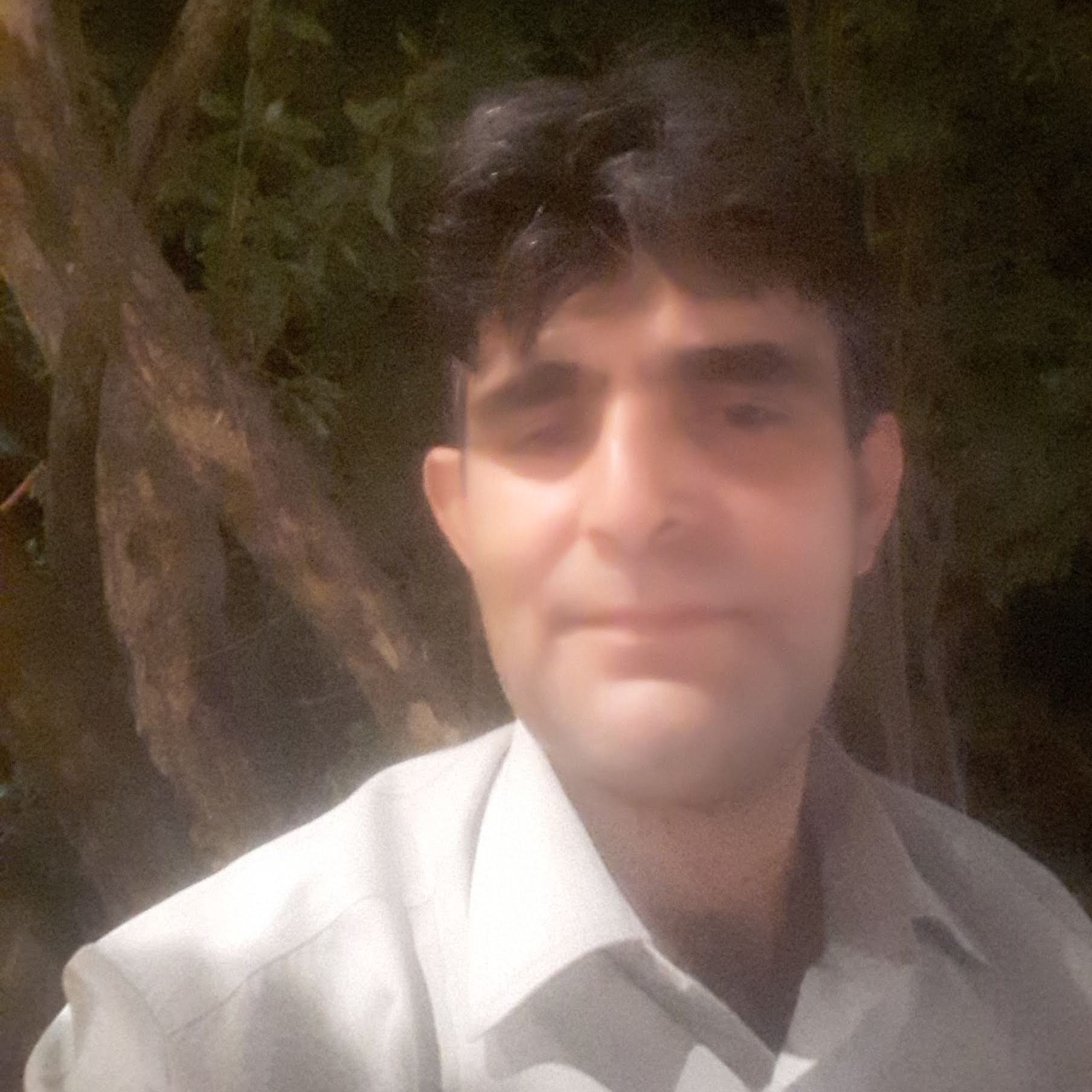 امیر