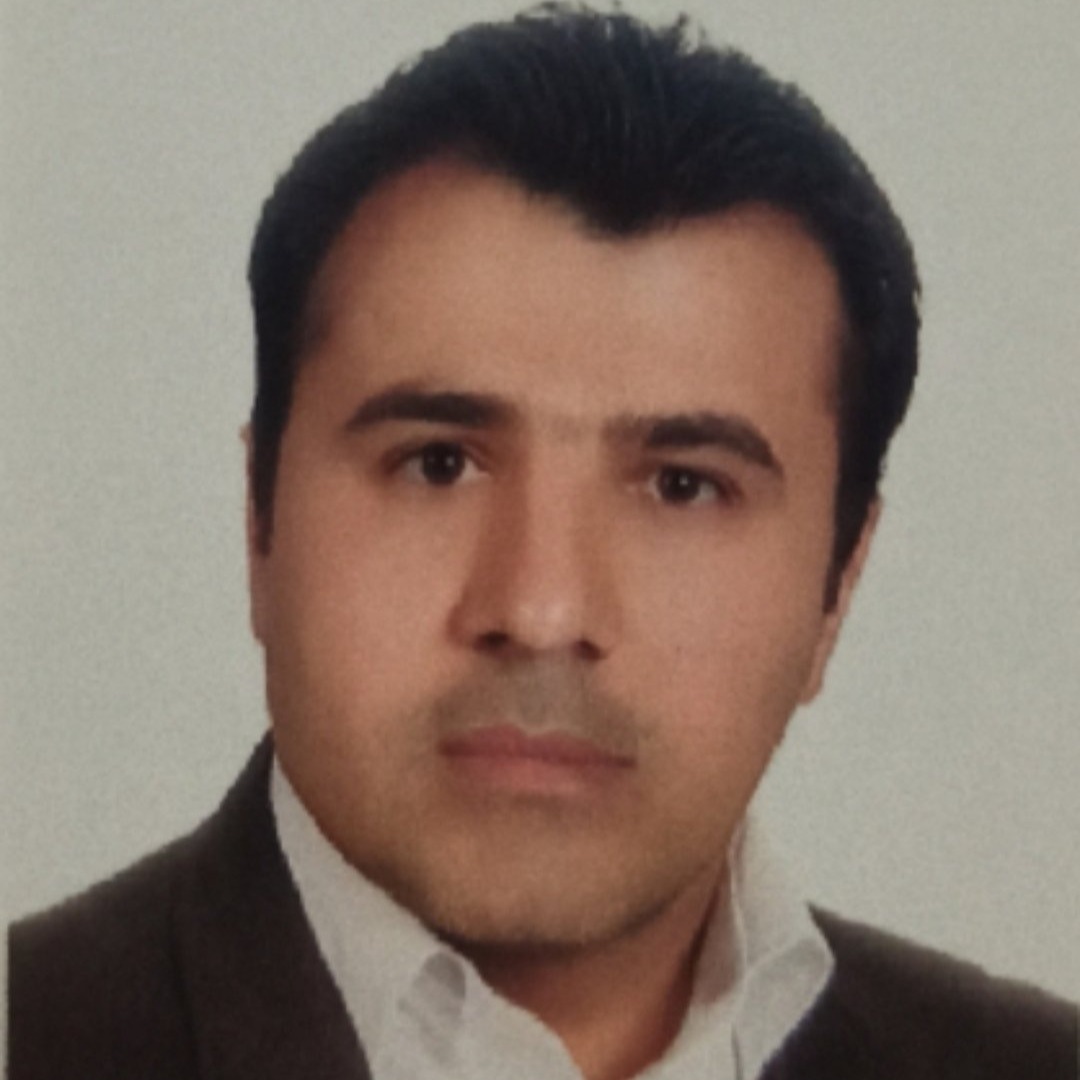 هادی