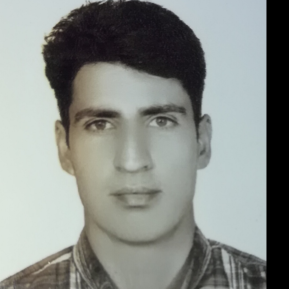 هادی