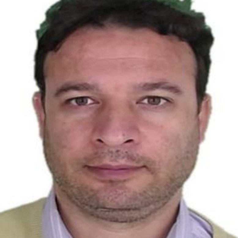 جواد