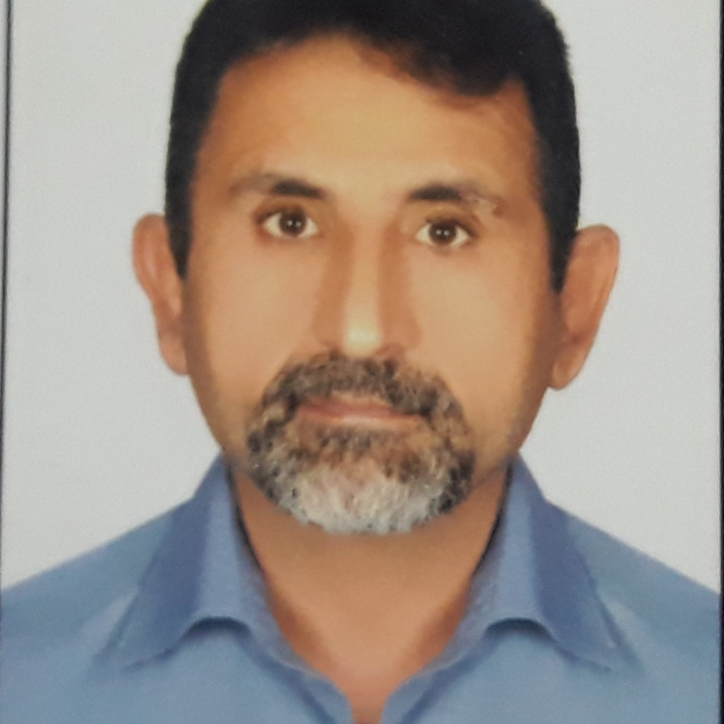 محمدمهدی