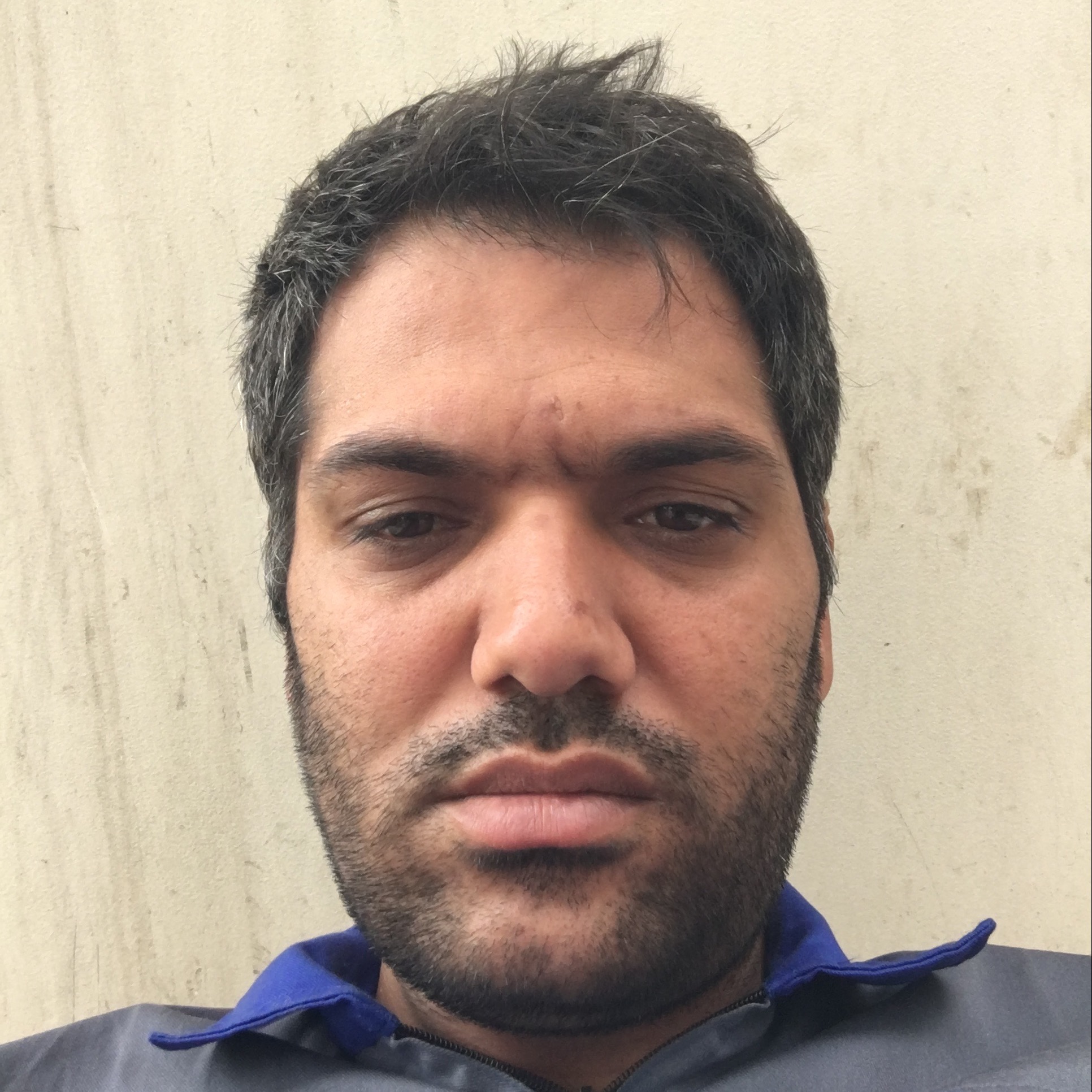 حامد