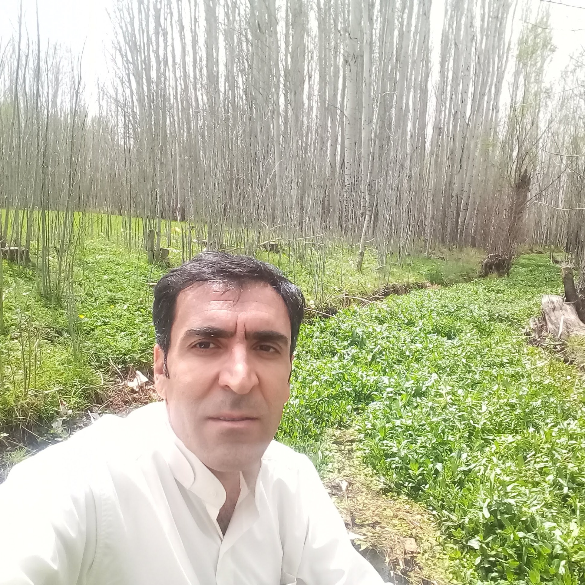 سعید