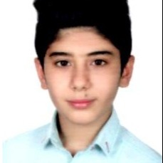 امیر