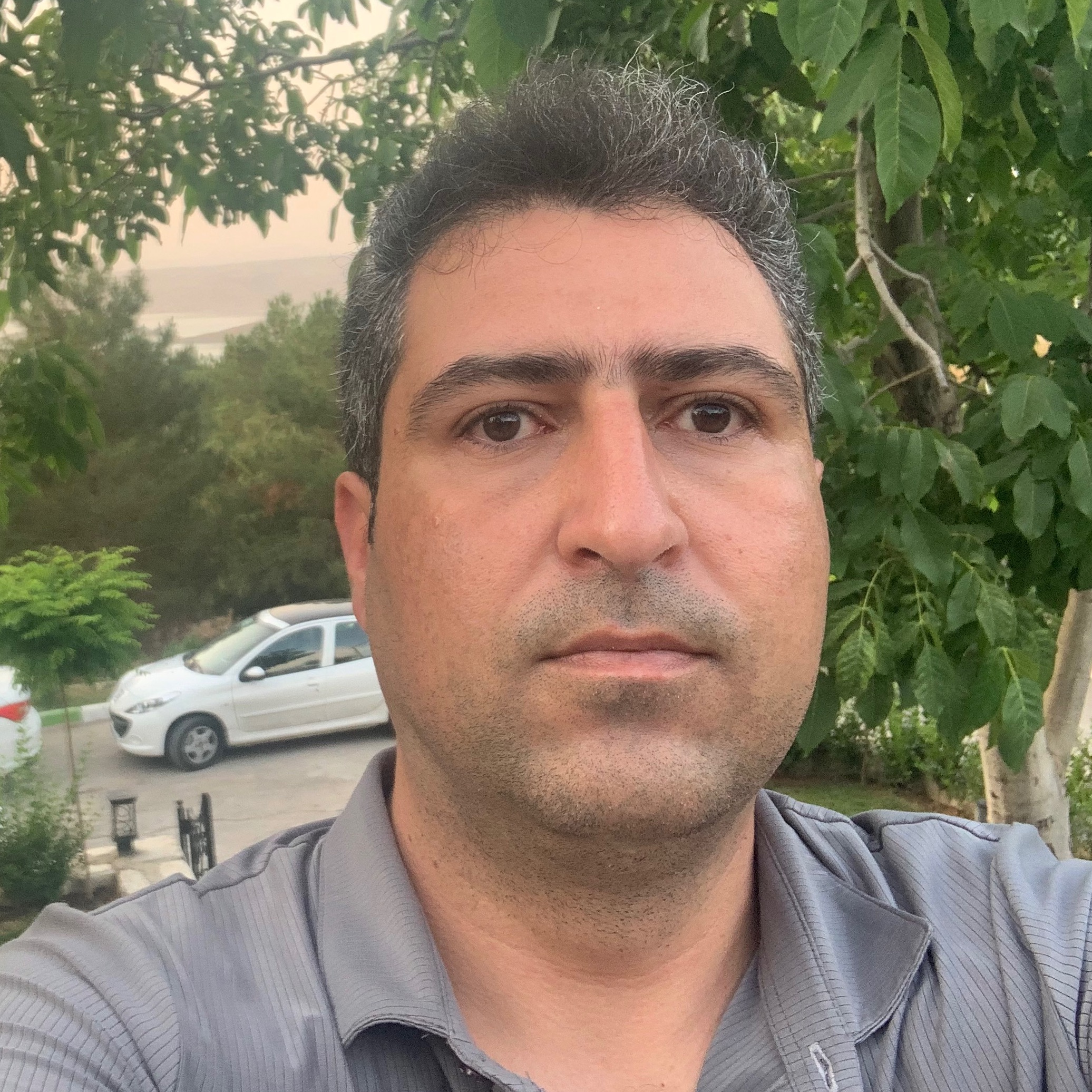محمدرضا