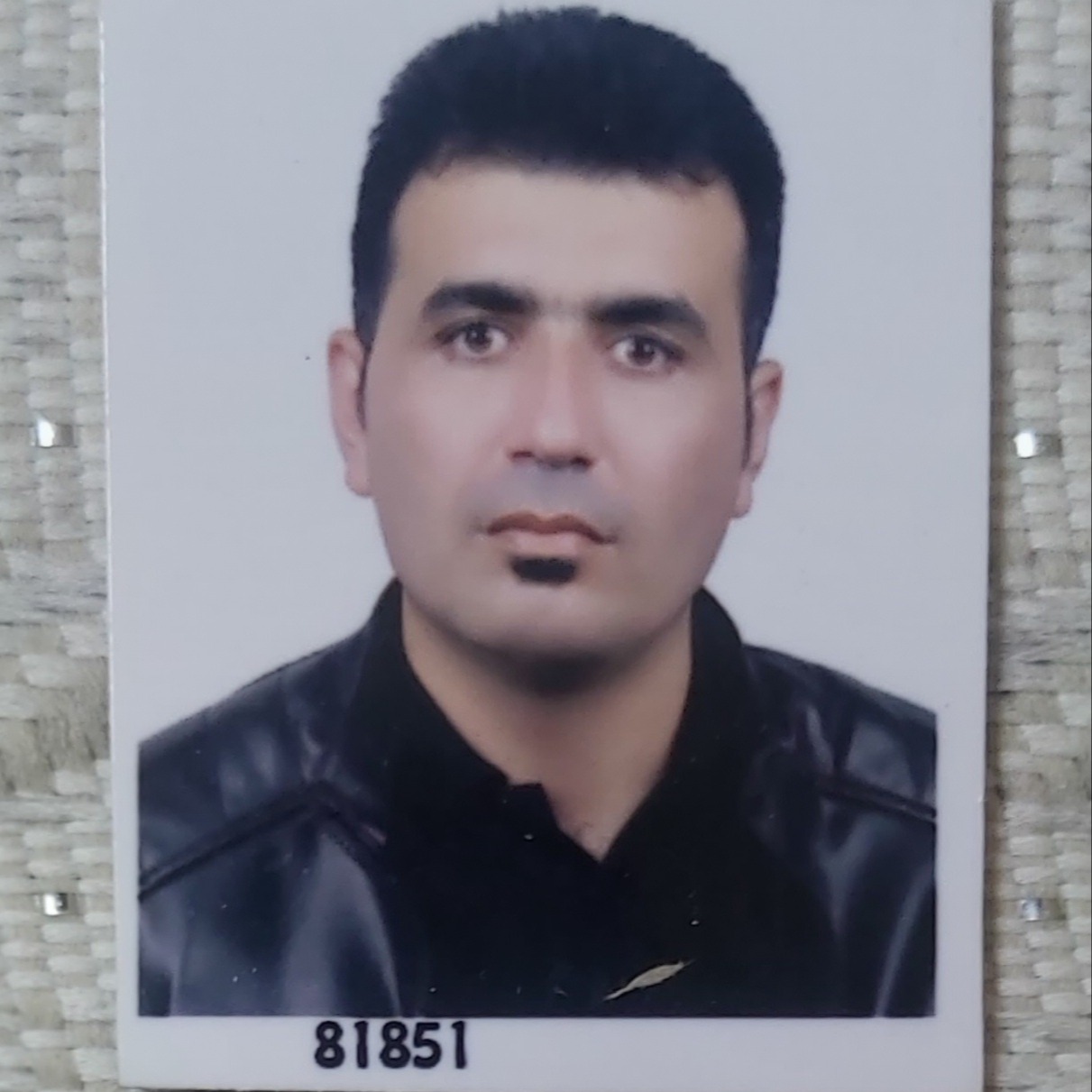 مجتبی