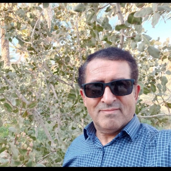 ناصر