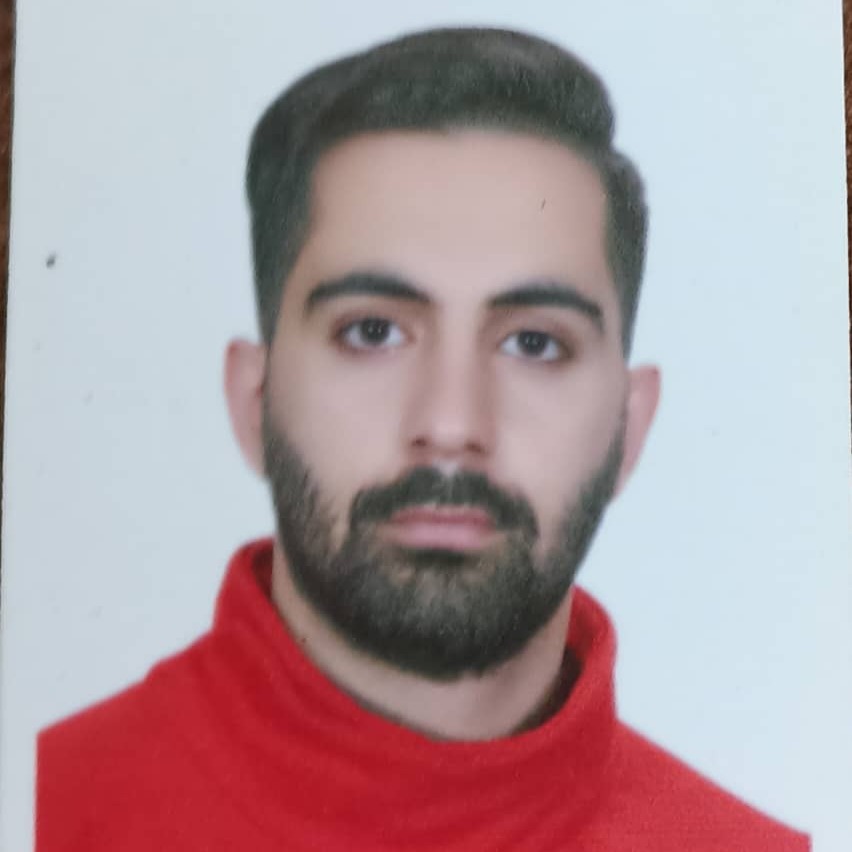 محمدمهدی