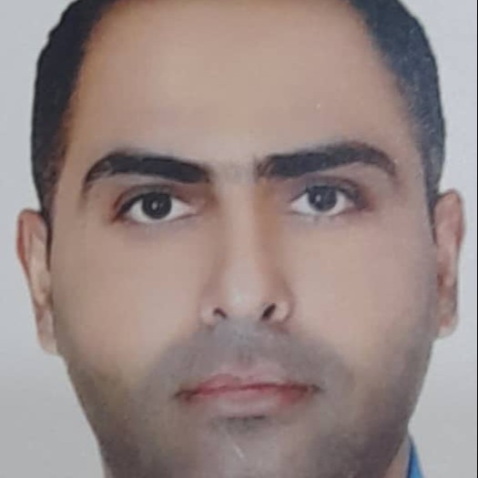 حامد