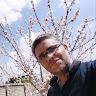 حمیدرضا