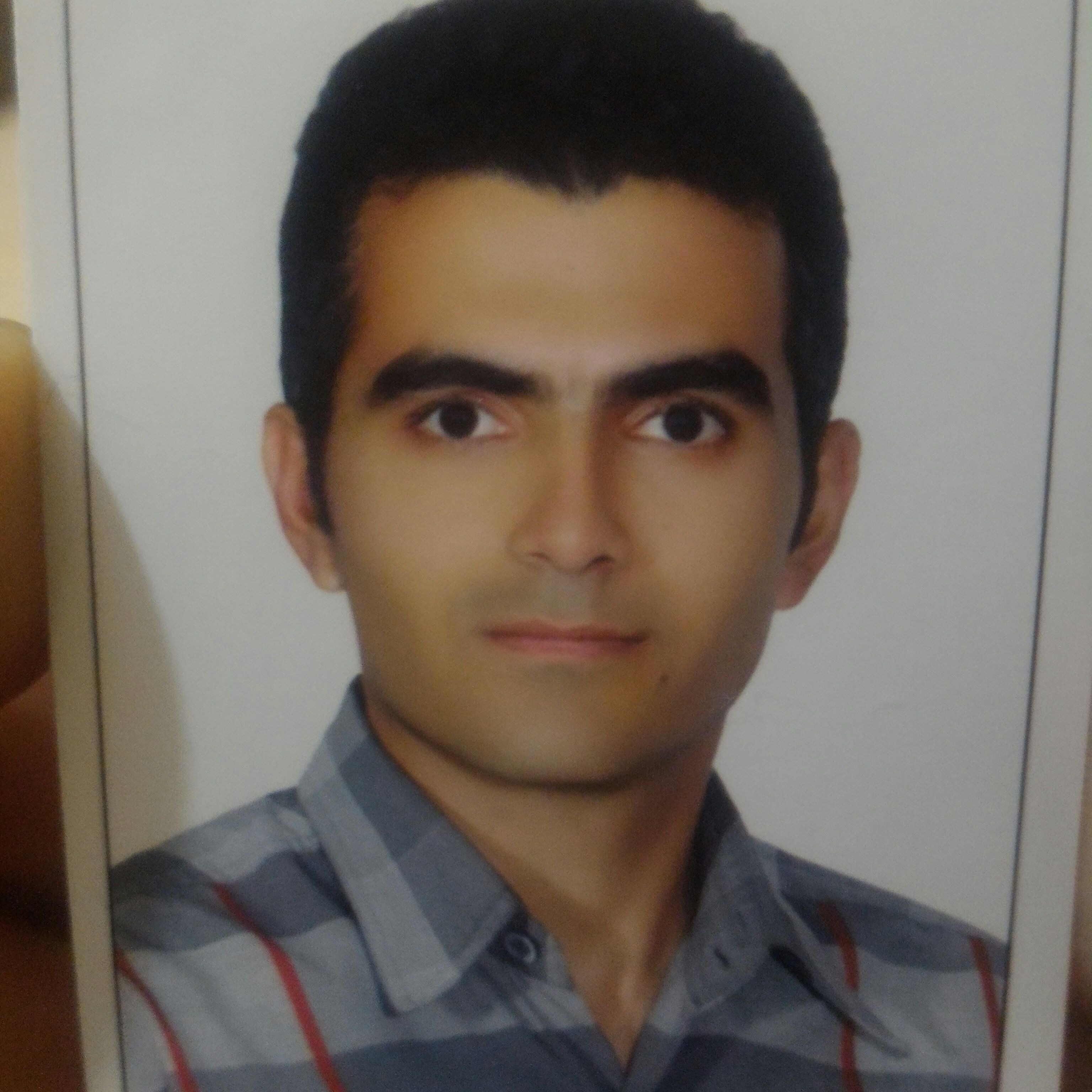 حامد