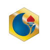 شرکت توسعه صنایع نفت و گاز سرو