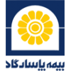 بیمه پاسارگاد